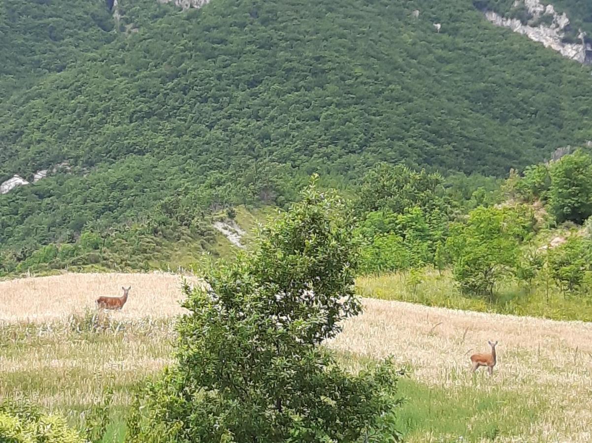 Nel Cuore Della Maiella Palombaro
